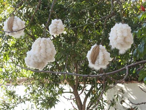 Kapok Fiber: Harnessing Nature's Fluffy Wonder for Sustainable Textiles and Packaging!