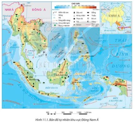  Nang-Từng-Là-Món-Quà-Của-Thiên-Nhiên: Phân Tích Chi Tiết Về Chất Liệu Nuy