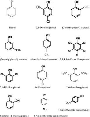 Phenol - Phân tử Aromatic và Khả năng Tiến Hóa Thật Bất Ngờ!