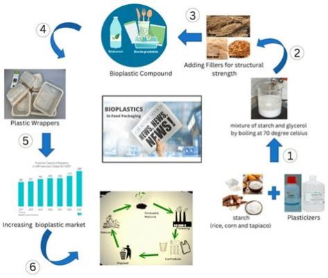 Lactic Acid -  Unveiling its Secrets in Food Preservation and Bioplastic Production!