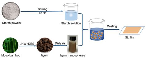  Lignin Nanoparticle: Siêu vật liệu sinh học cho ngành bao bì và dược phẩm!