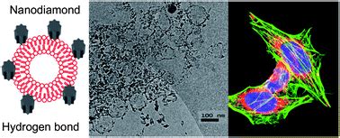  Nanodiamond: A Sparkle of Innovation for Biocompatible Implants and Advanced Drug Delivery Systems!